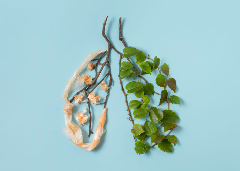 Especialista En Toracocentesis Diagnostica En Cdmx