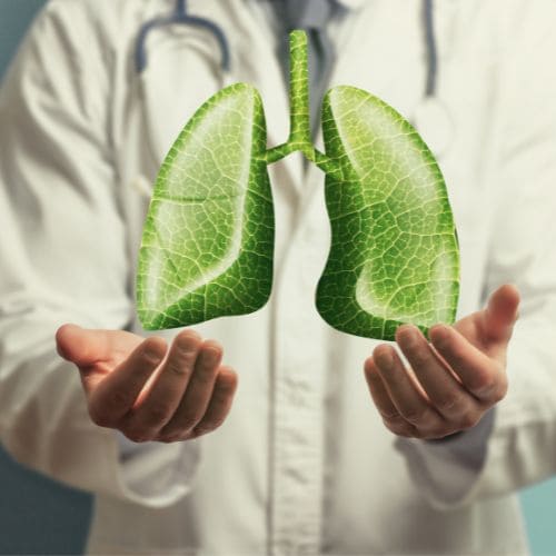 Precio De Consulta De Broncoscopia En Cdmx